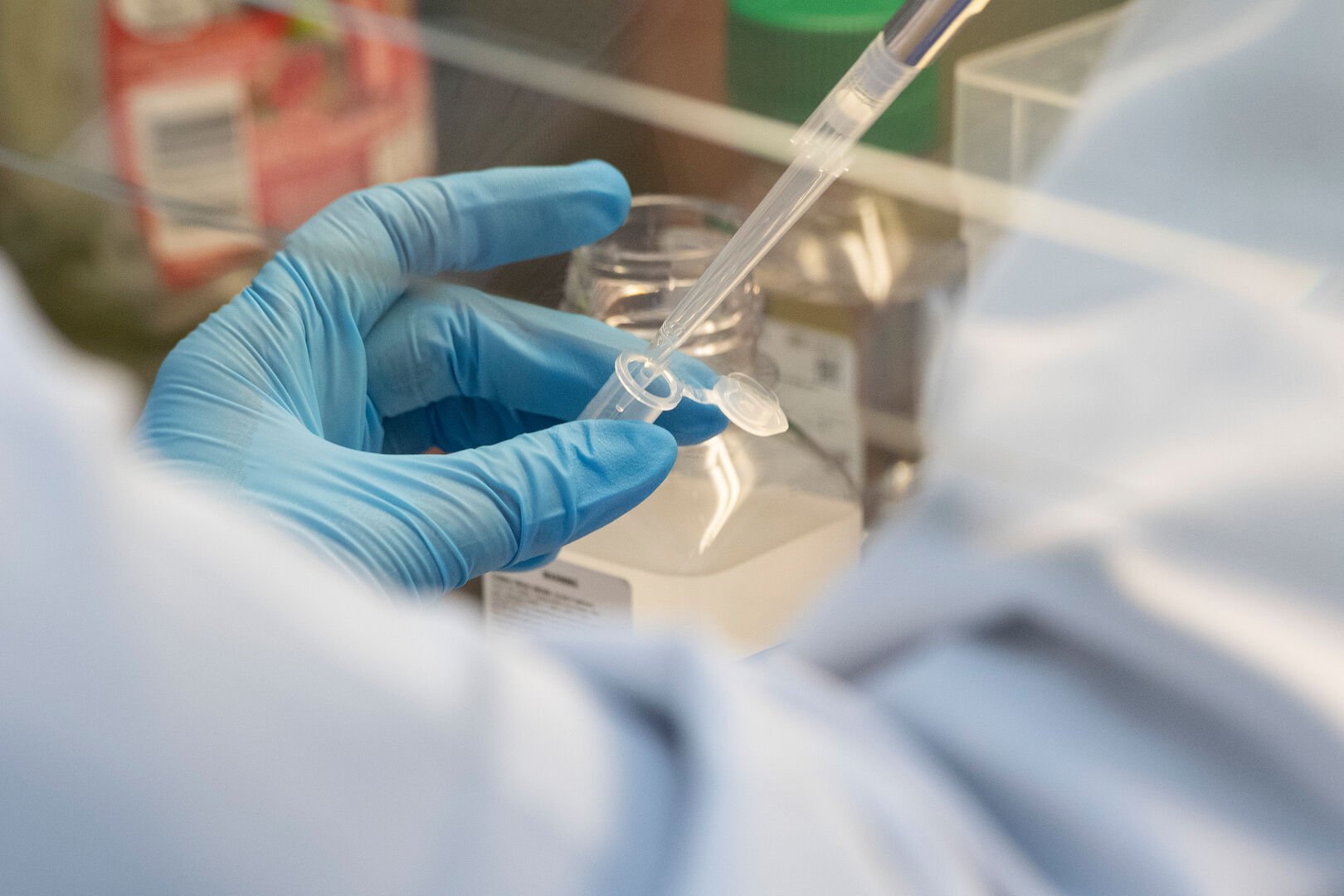 South Africa: mRNA vaccine technology transfer hub, February 2022