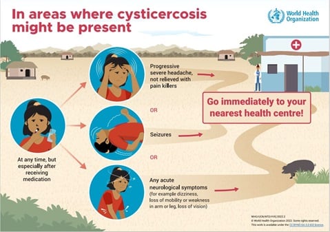 In areas where cysticercosis might be present