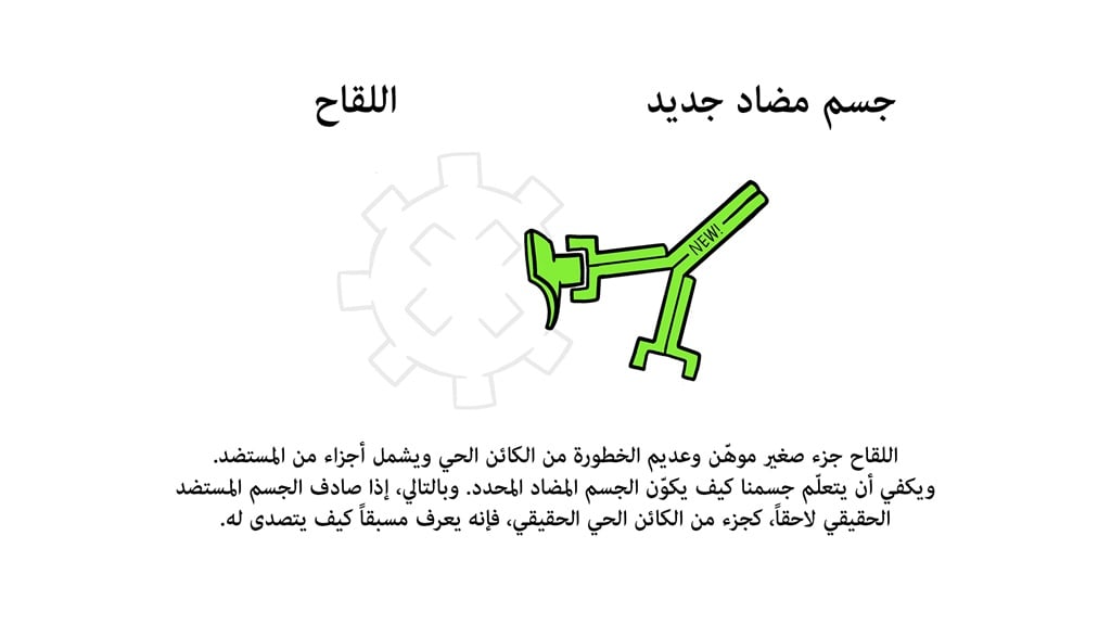 Vaccines Antibody illustration 02_29 Oct
